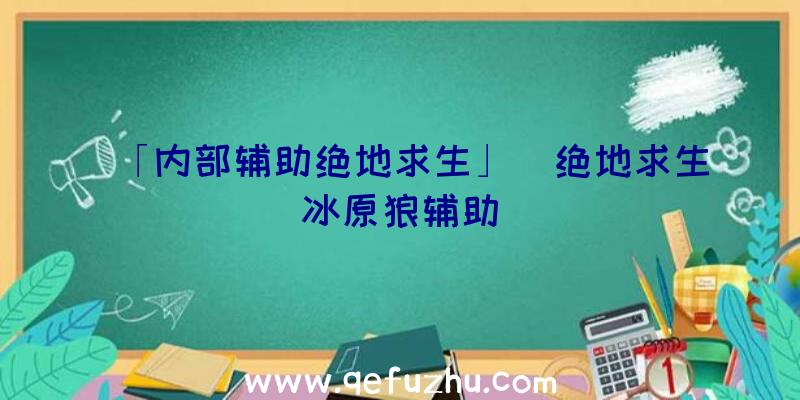 「内部辅助绝地求生」|绝地求生冰原狼辅助